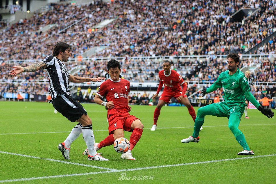 我可以基于 我可以基于