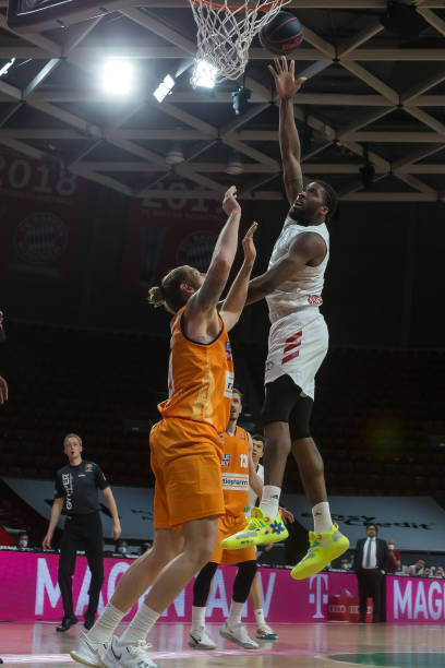 此次引进的 此次引进的